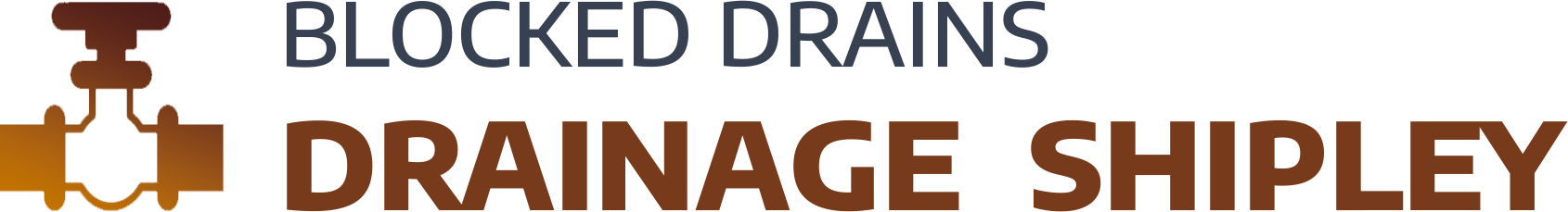 website logo